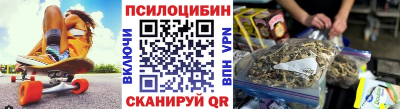 Галлюциногенные грибы Psilocybe  Шелехов 